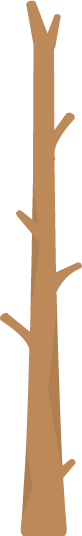 Trunk 4